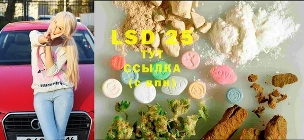 ПСИЛОЦИБИНОВЫЕ ГРИБЫ Пересвет