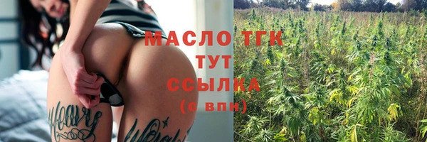хмурый Арсеньев