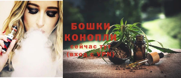 дмт Переславль-Залесский